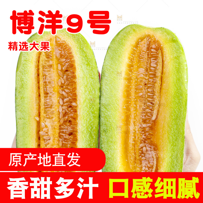 手里拿着美洋甜瓜