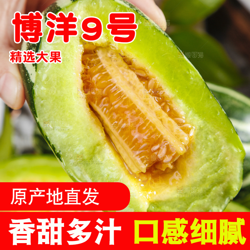 手里拿着酥蜜9号