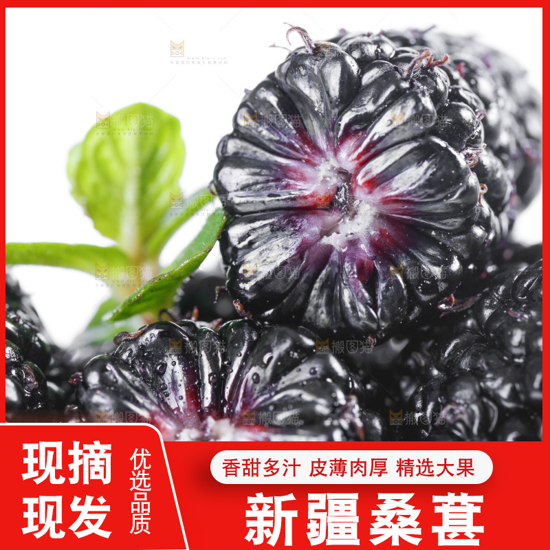 堆放着一堆的野生桑枣