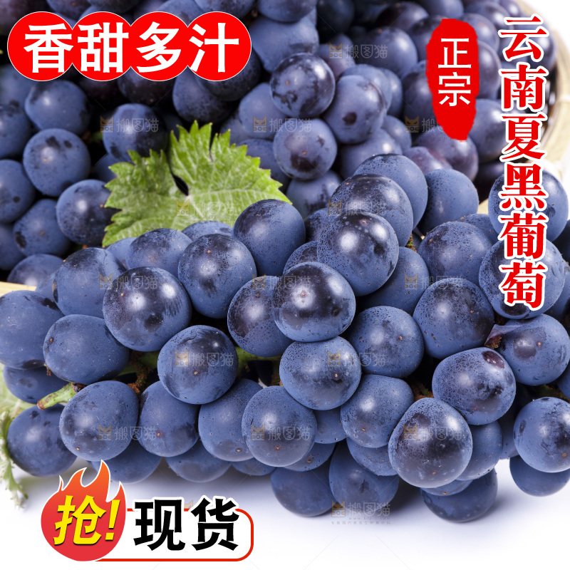 白底上放着云南夏黑葡萄