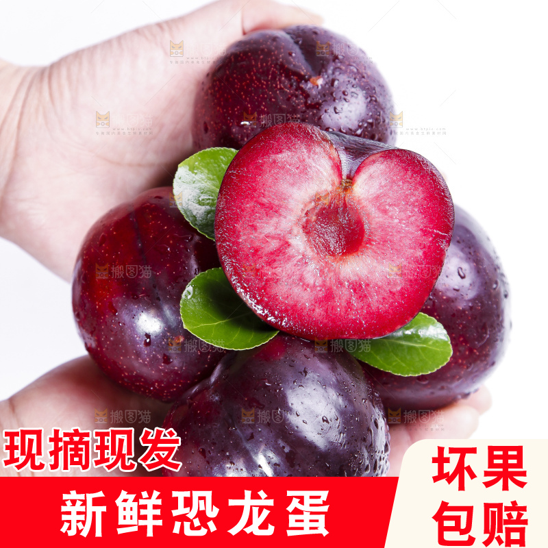 手里捧着红布林