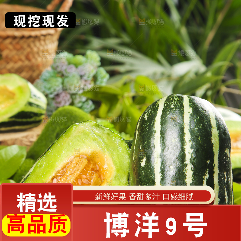 黑底上摆放着博洋香瓜