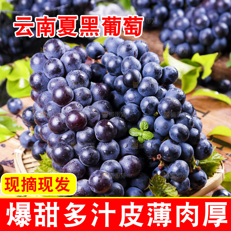 篮子里装着无籽黑提