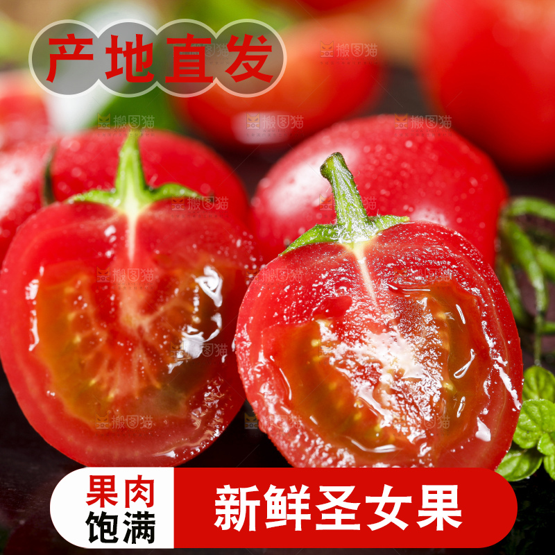 黑底上摆放着樱桃小番茄