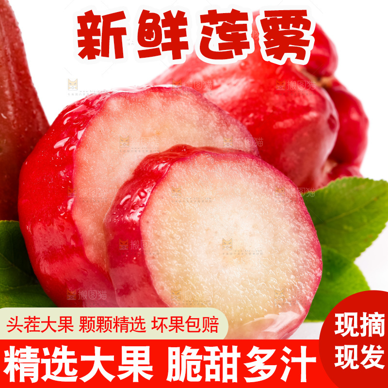 白底上摆放着海南莲雾