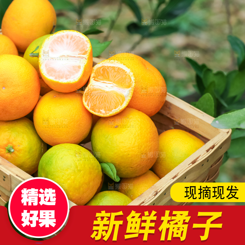 篮子里装着蜜橘