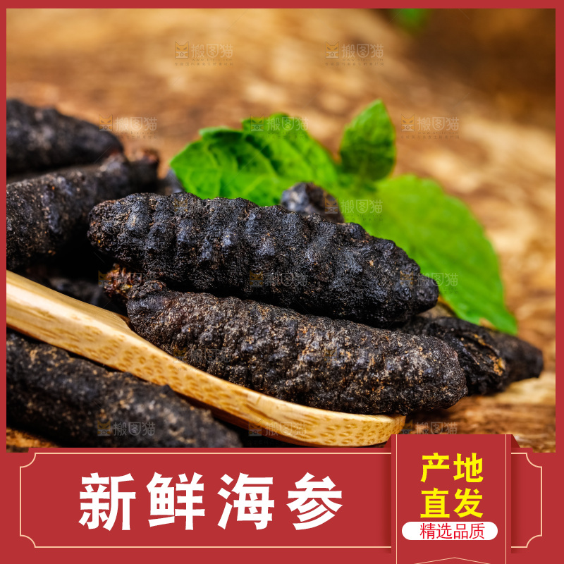 勺子上放着野生海参