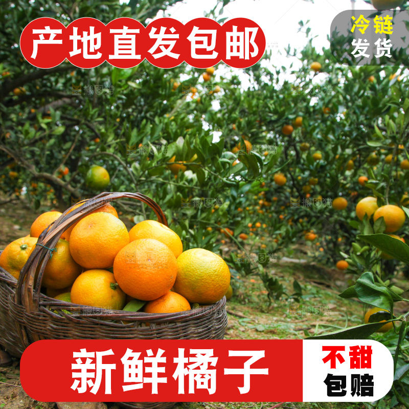 篮子里装着橘子