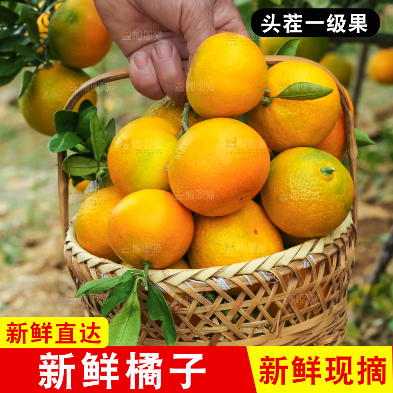 篮子里装着橘子