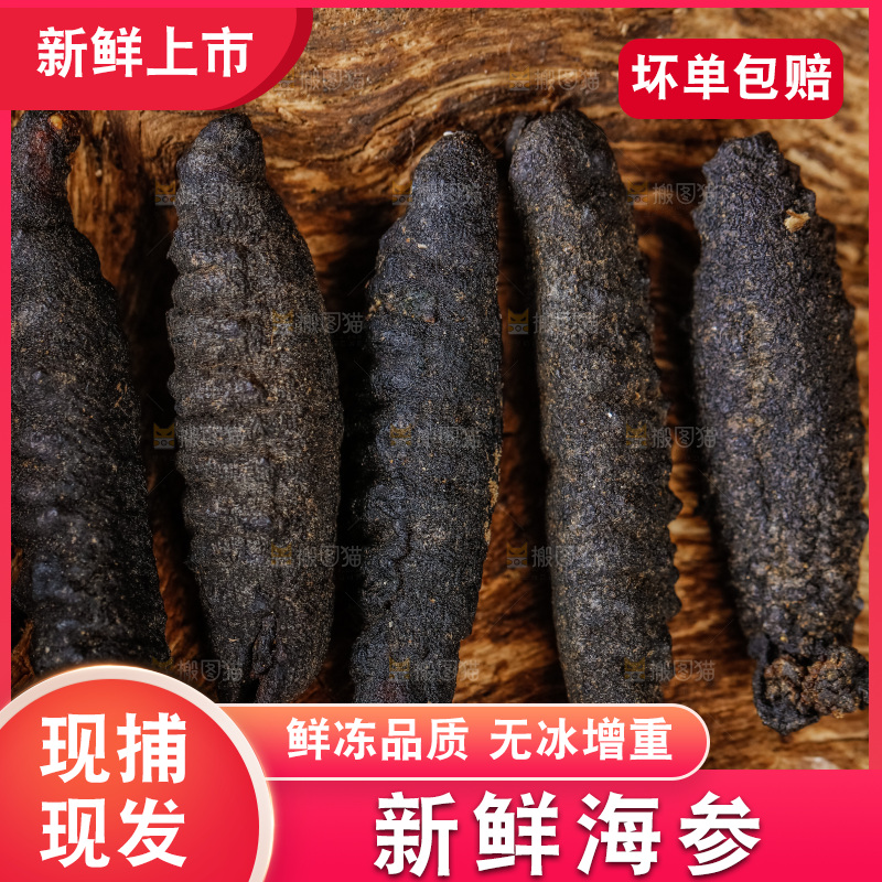 木底上摆放着干海参