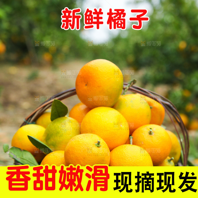 篮子里的蜜橘