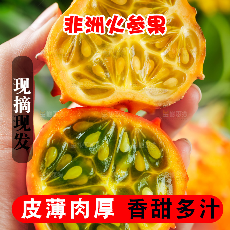 手里拿着刺角瓜