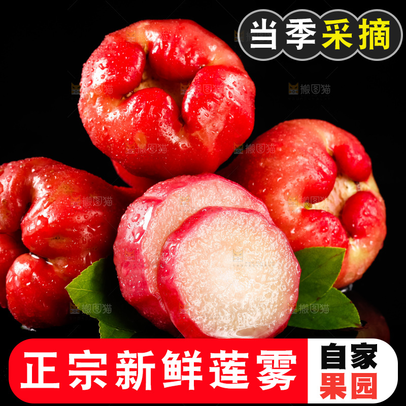 黑底上放着莲雾