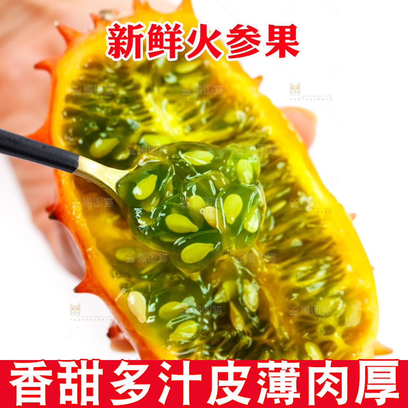 手里拿着刺角瓜