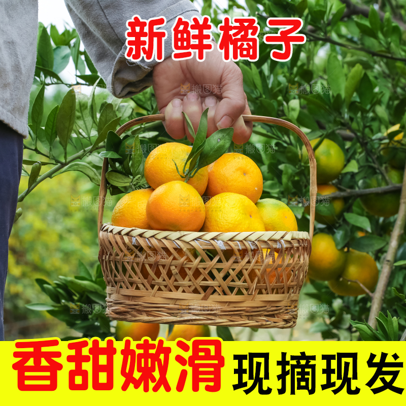 篮子里装着橘子