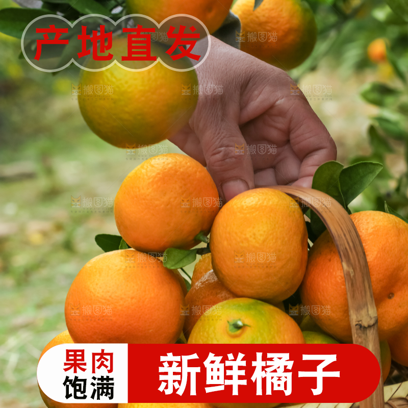 篮子里装着橘子