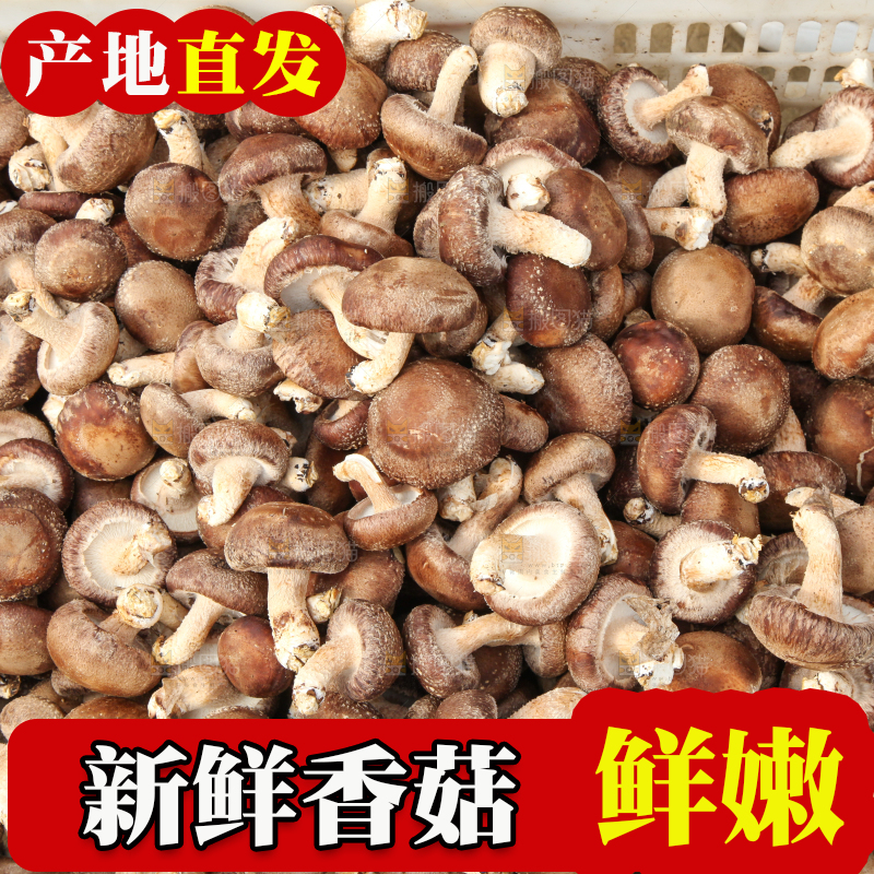 框子里装着香菇