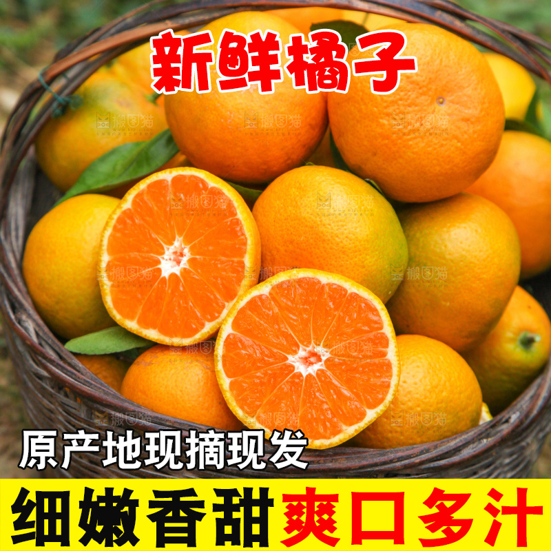 篮子里的新鲜橘子