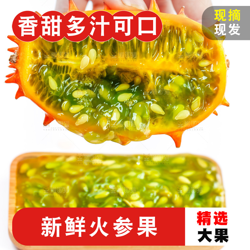 手里拿着刺角瓜