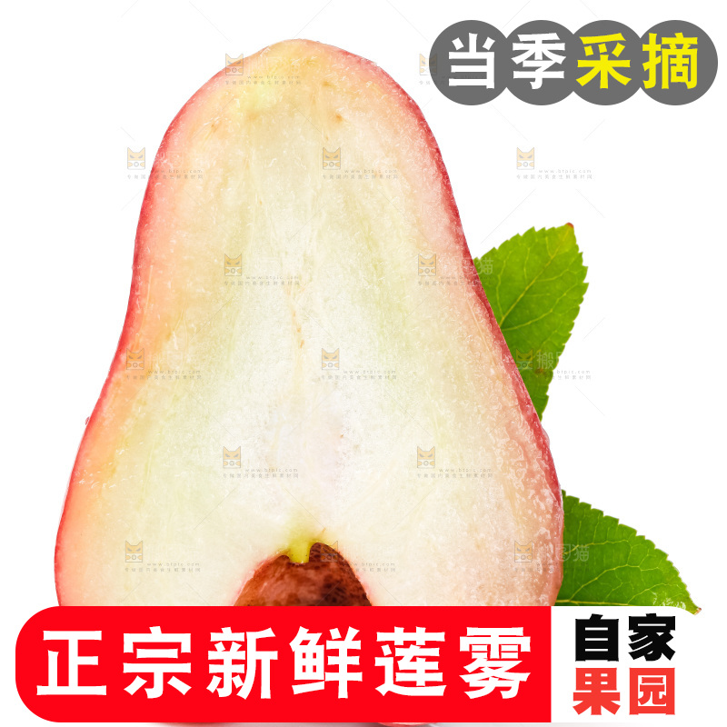 白底上摆放着莲雾