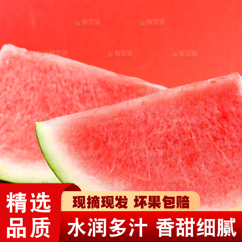 浅底上摆放着麒麟西瓜
