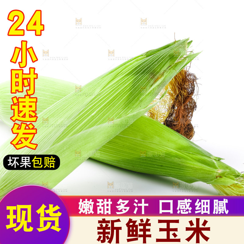 白底上放着苞谷