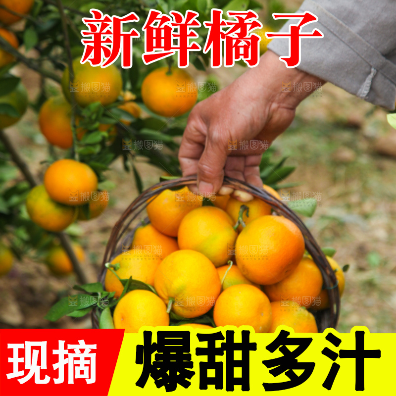 篮子里装着橘子