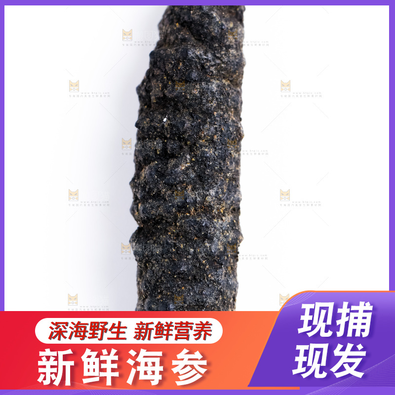 白底上摆放着海参