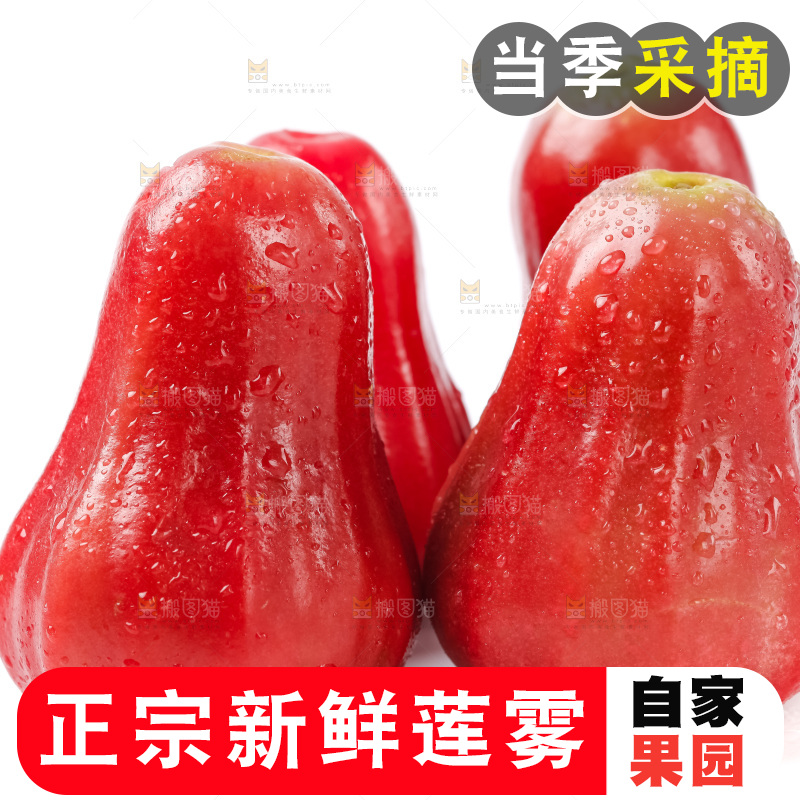 白底上放着红宝石莲雾