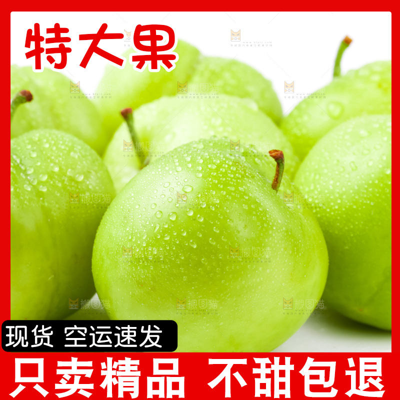 白底上摆放着青李子