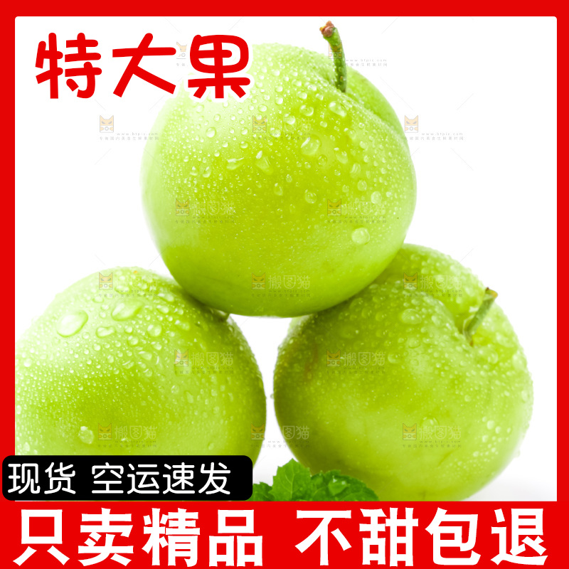 白底上摆放着青李子