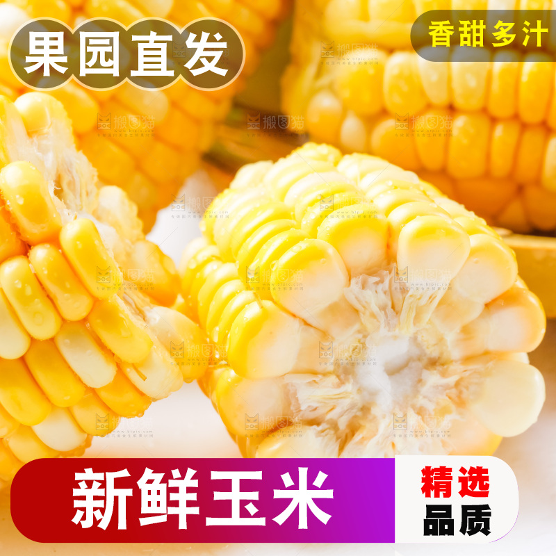 摆放着一堆的甜玉米