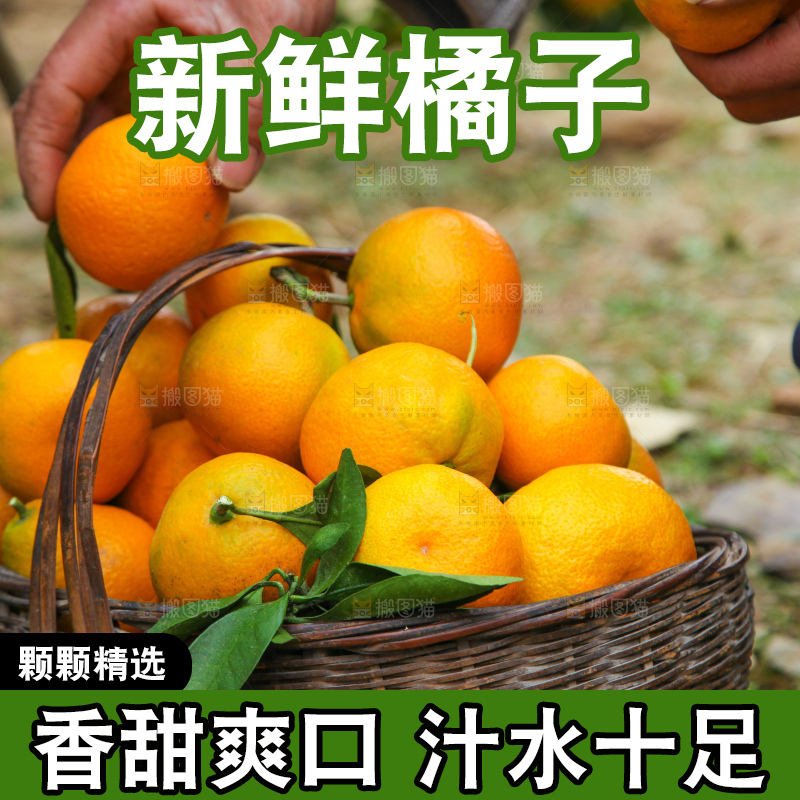 篮子里装着橘子