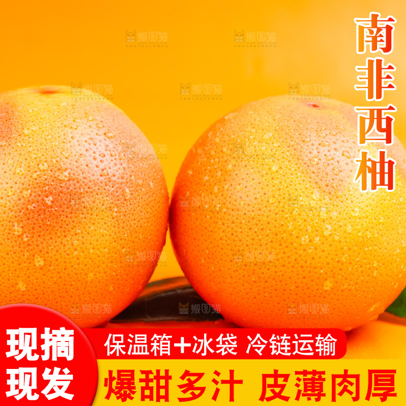浅底上放着南非进口西柚