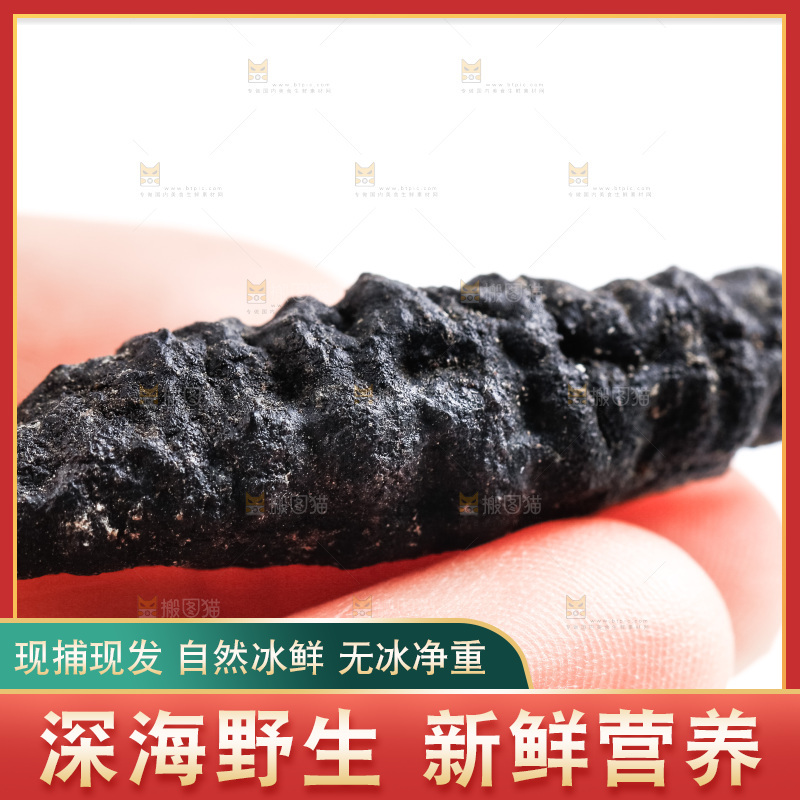 手里拿着干海参