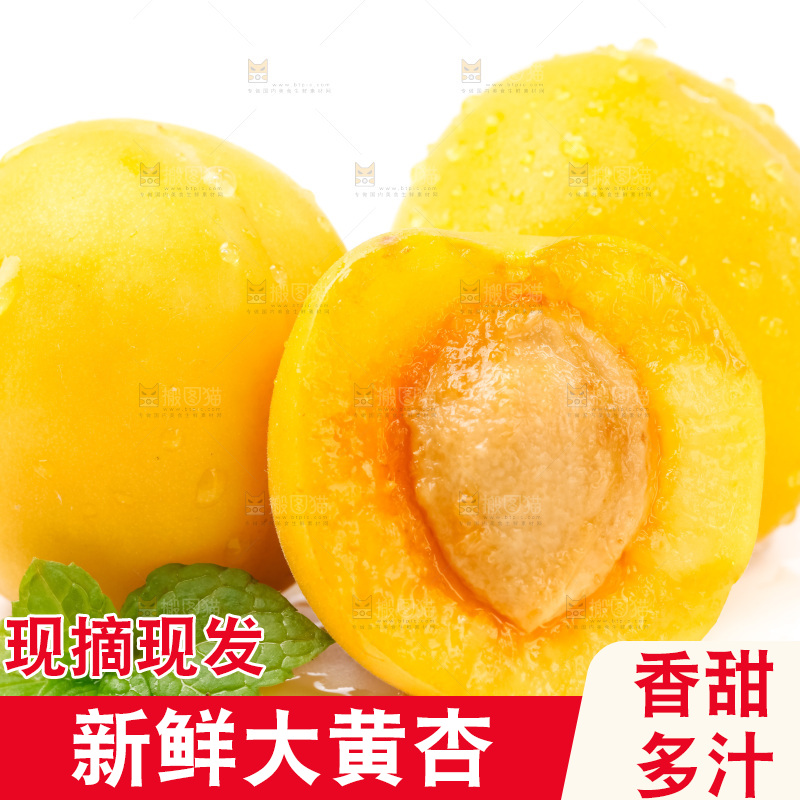 白底上摆放着麦黄杏