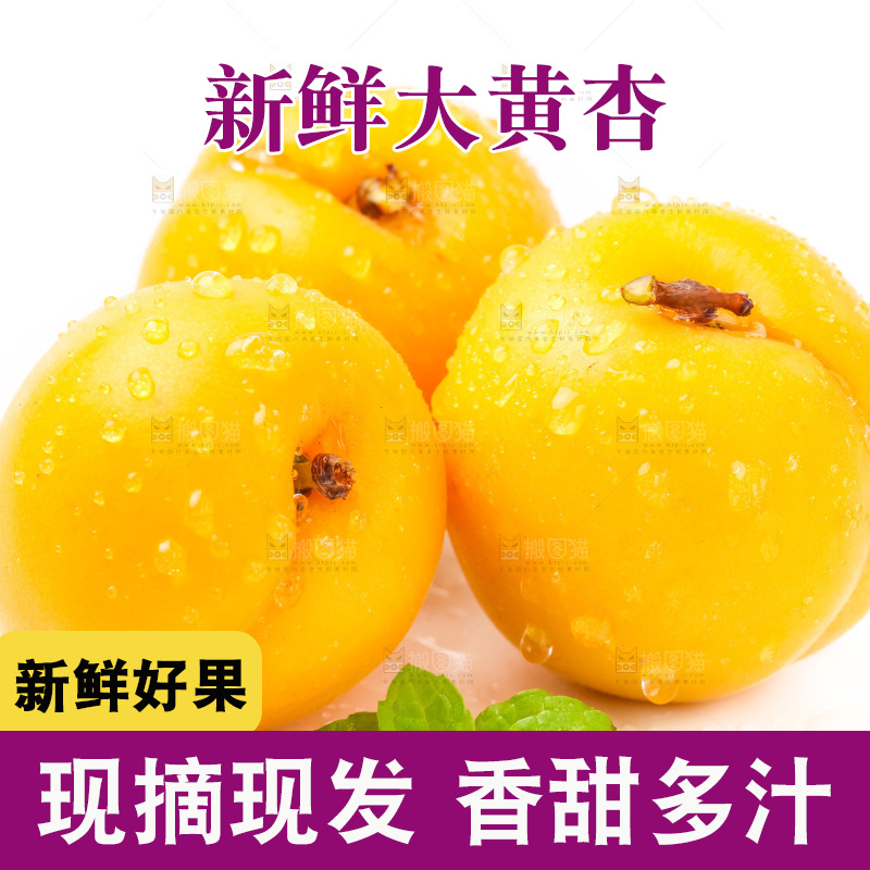 白底上摆放着麦黄杏