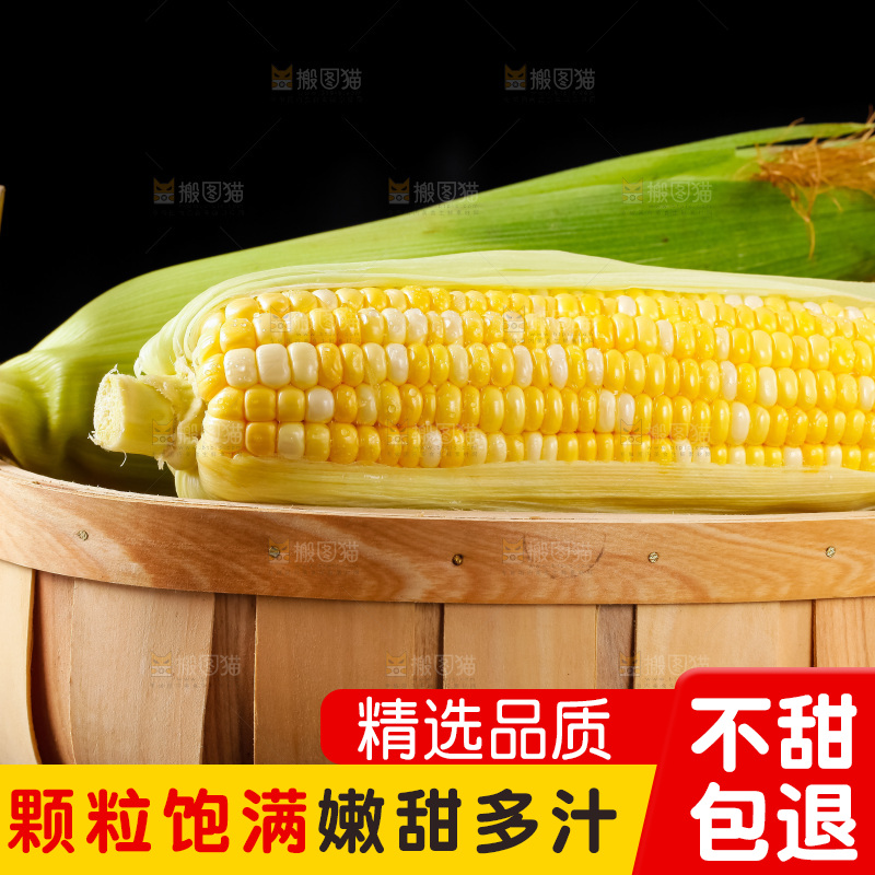 篮子里装着新鲜玉米