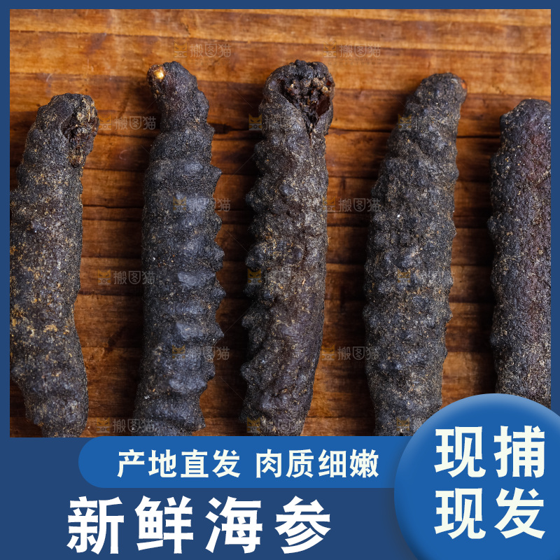 木底上放着大连刺参