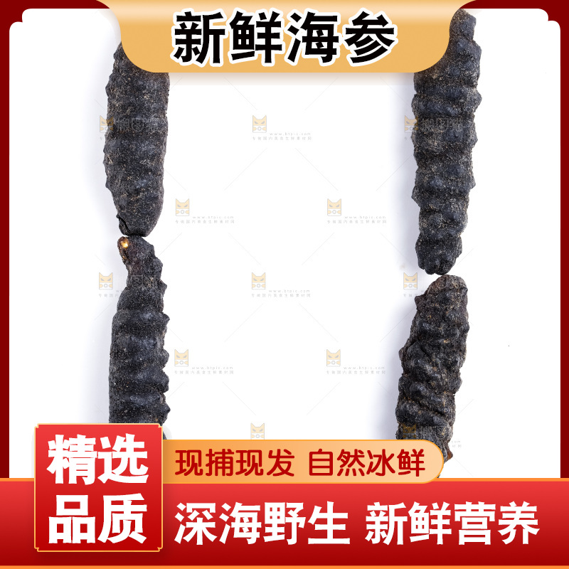 白底上放着干海参