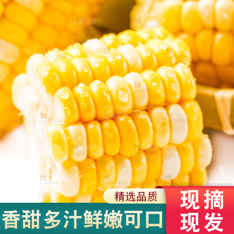 摆放着一堆的甜玉米