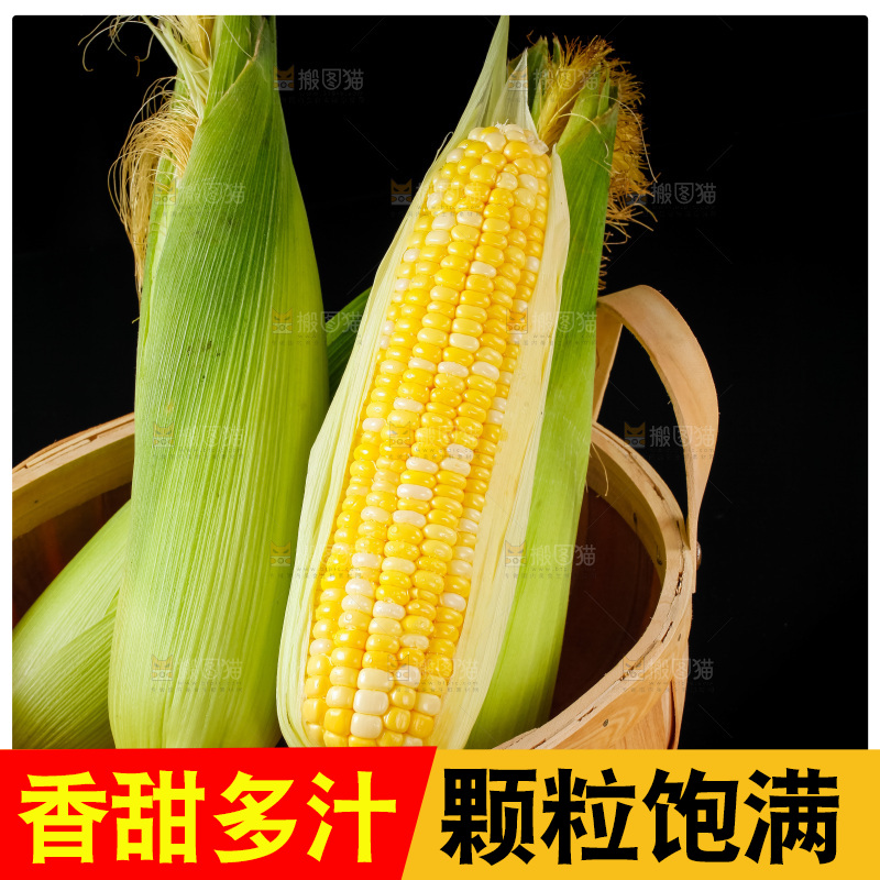 篮子里装着玉米