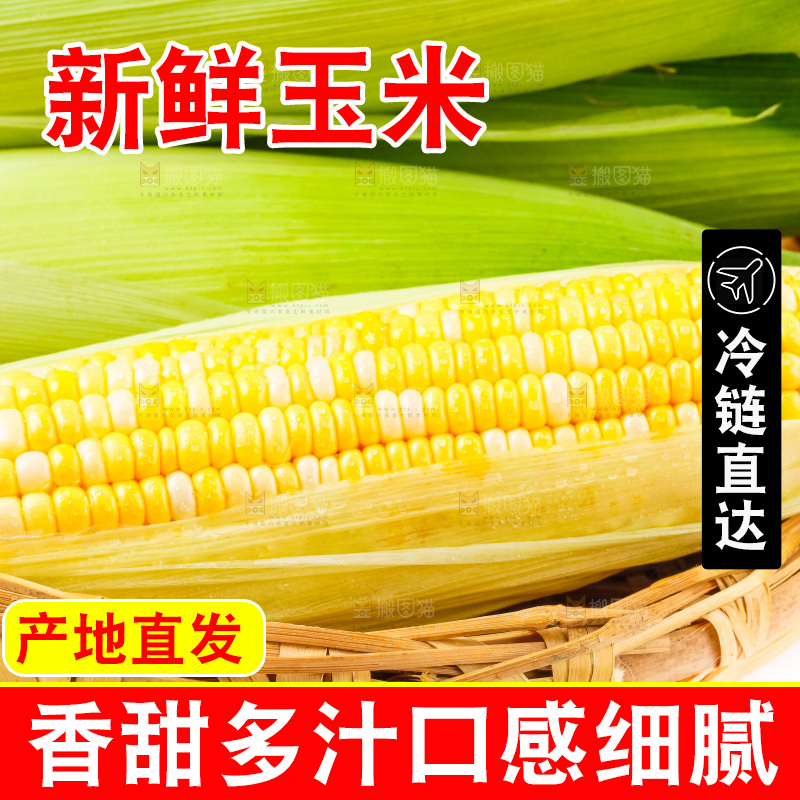 篮子里装着玉米