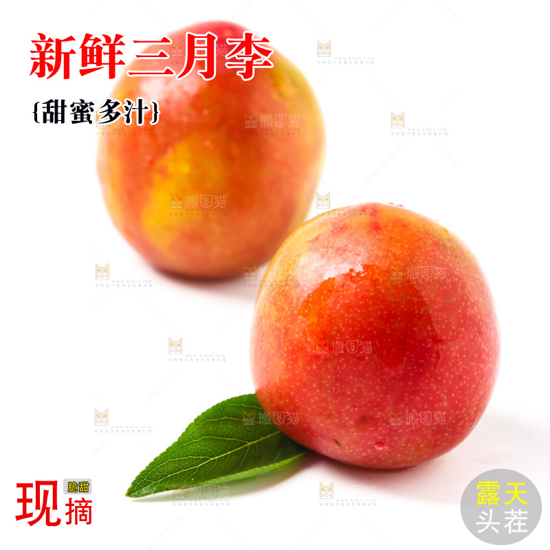 白底上摆放着珍珠李子