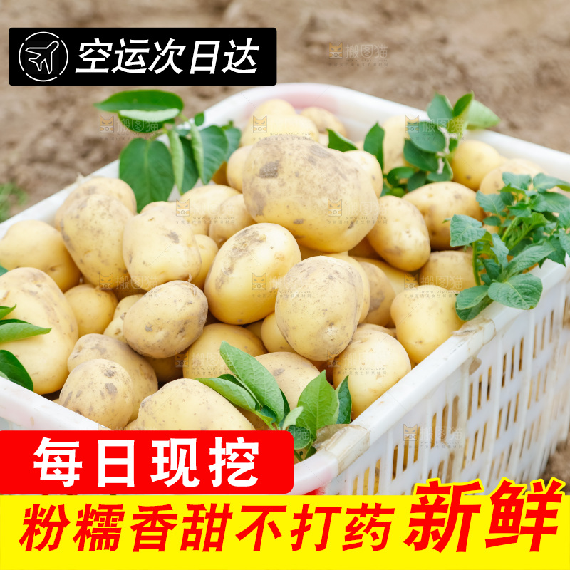 框子里装着黄心土豆