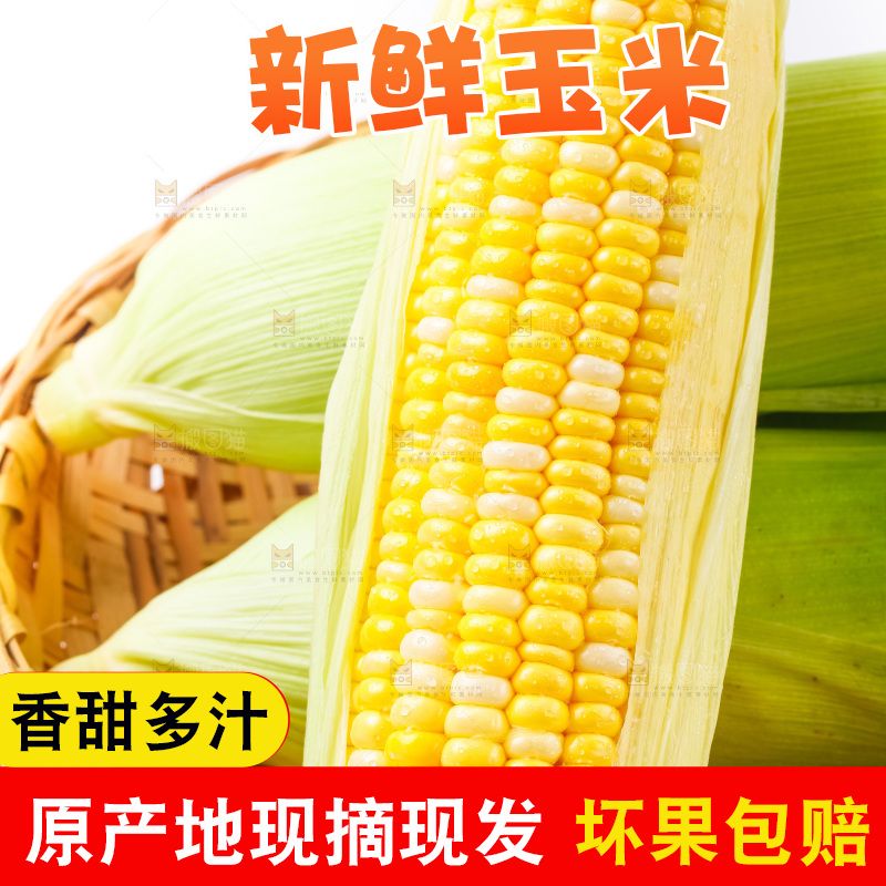 篮子里装着玉米