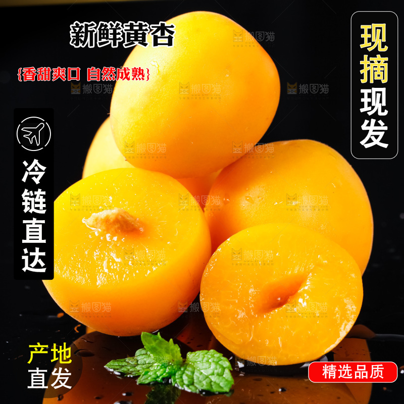 黑底上摆放着新鲜麦黄杏