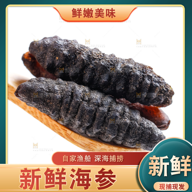 白底上摆放着海参
