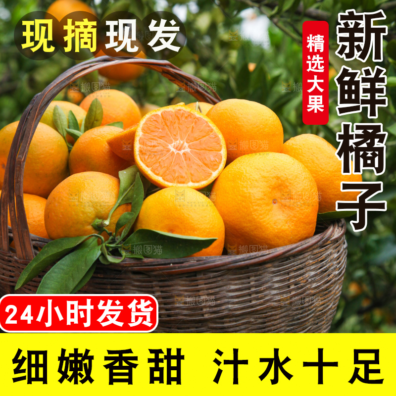 篮子里装着橘子