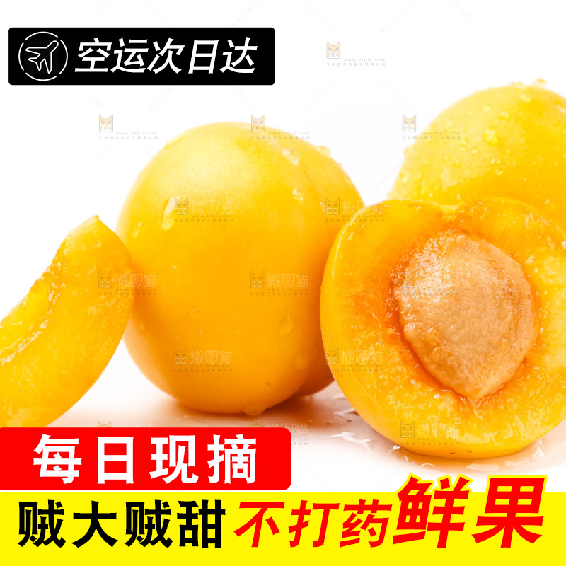 白底上摆放着麦黄杏